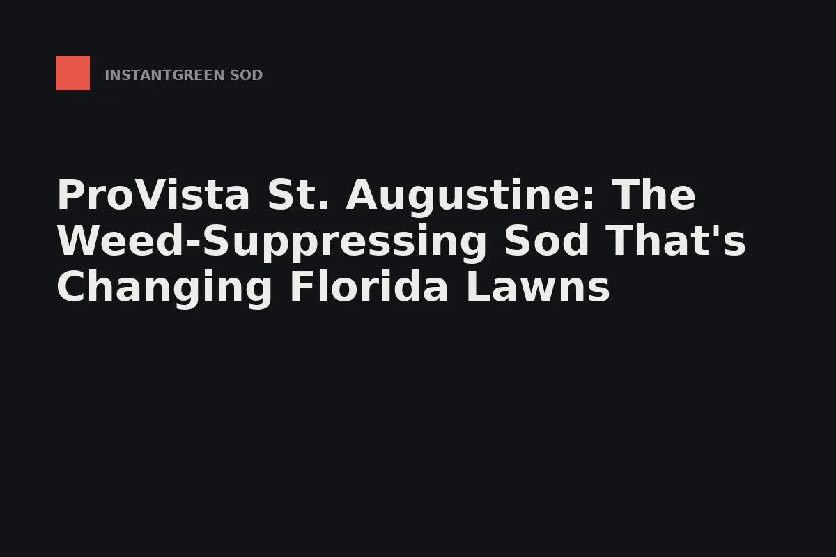 Fresh-cut squares of St. Augustine sod stacked on a pallet, ready for a Tampa Bay install.