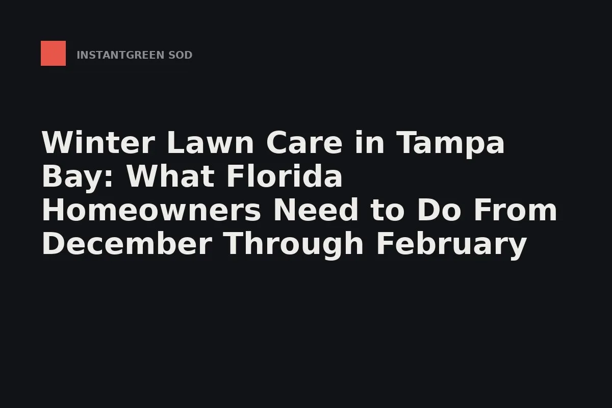 Fresh-cut sand-bottom sod squares stacked on the pallet for a Tampa Bay install