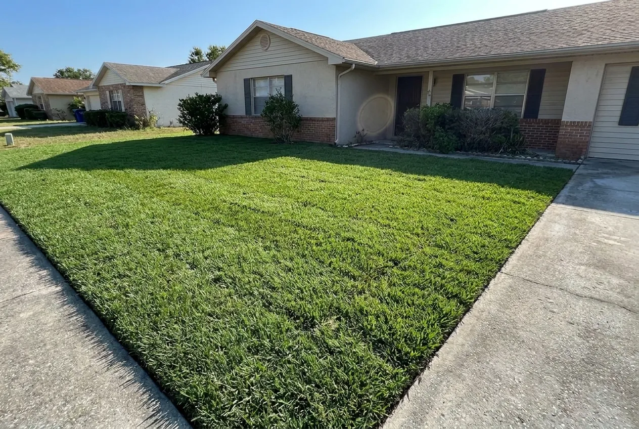 A freshly replaced lush green front lawn