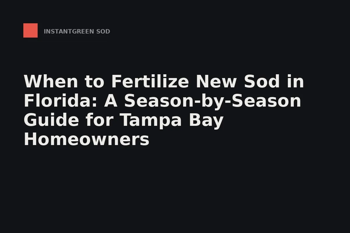 Fresh-cut sand-bottom sod squares staged on the pallet before a Tampa Bay install