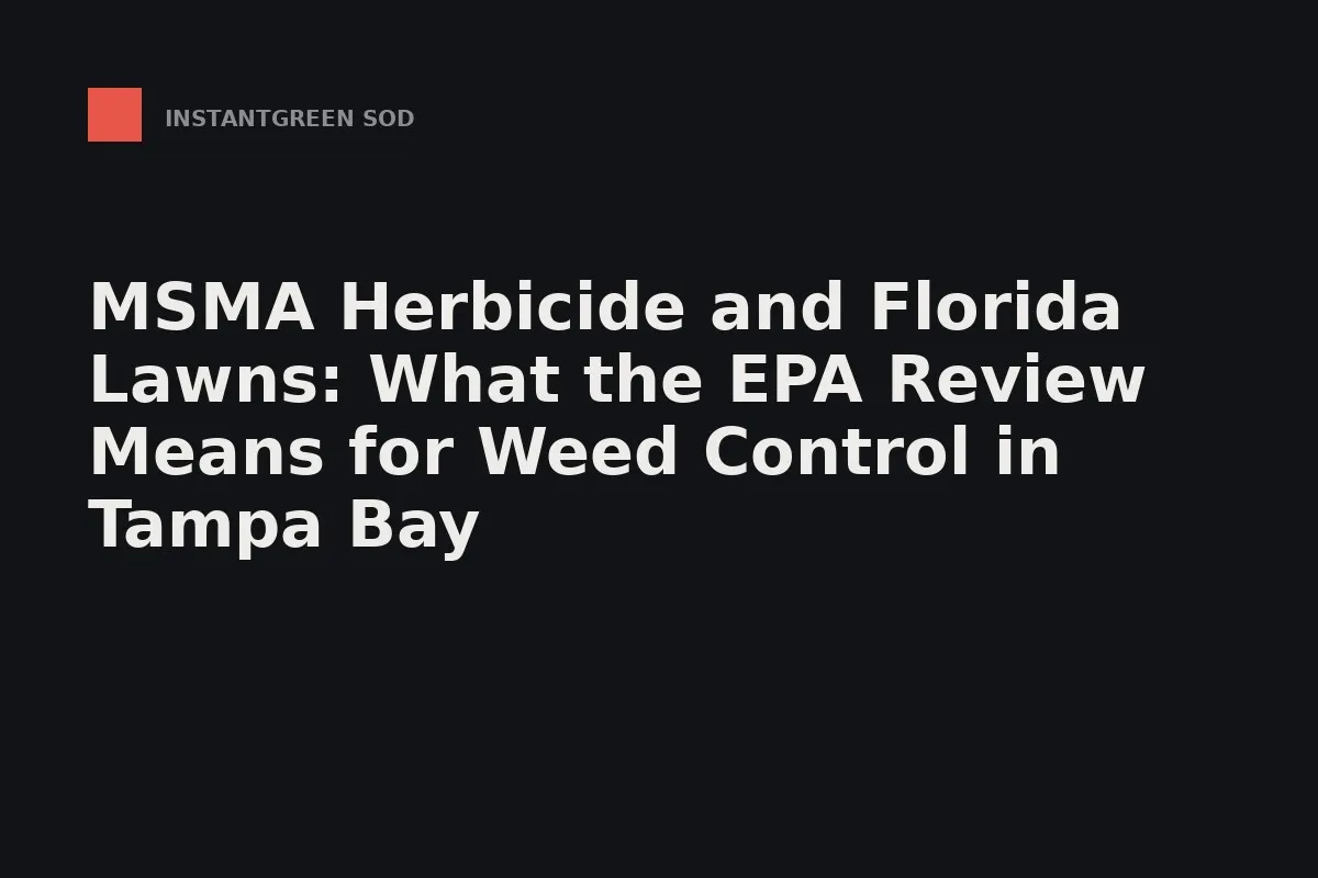 Fresh-cut Bermuda sod squares staged for a Tampa Bay install